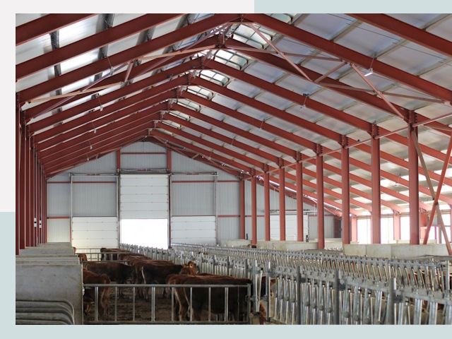 Строительство коровников в Краснокаменске