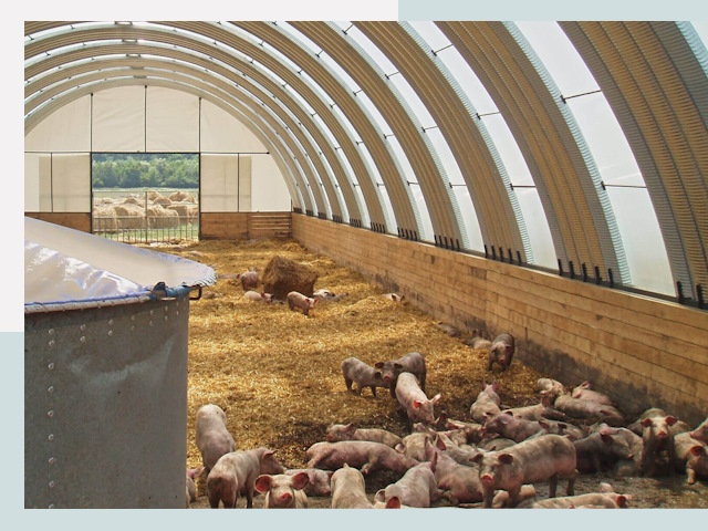 Строительство свинарников в Краснокаменске