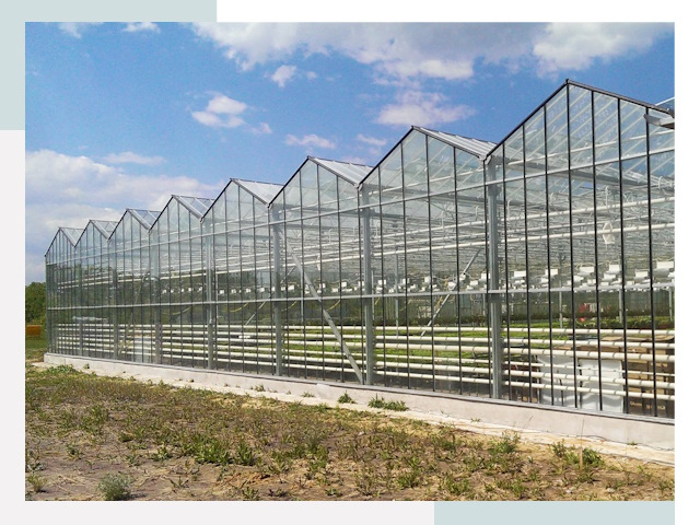 Строительство теплиц в Краснокаменск от 613 руб. за м²